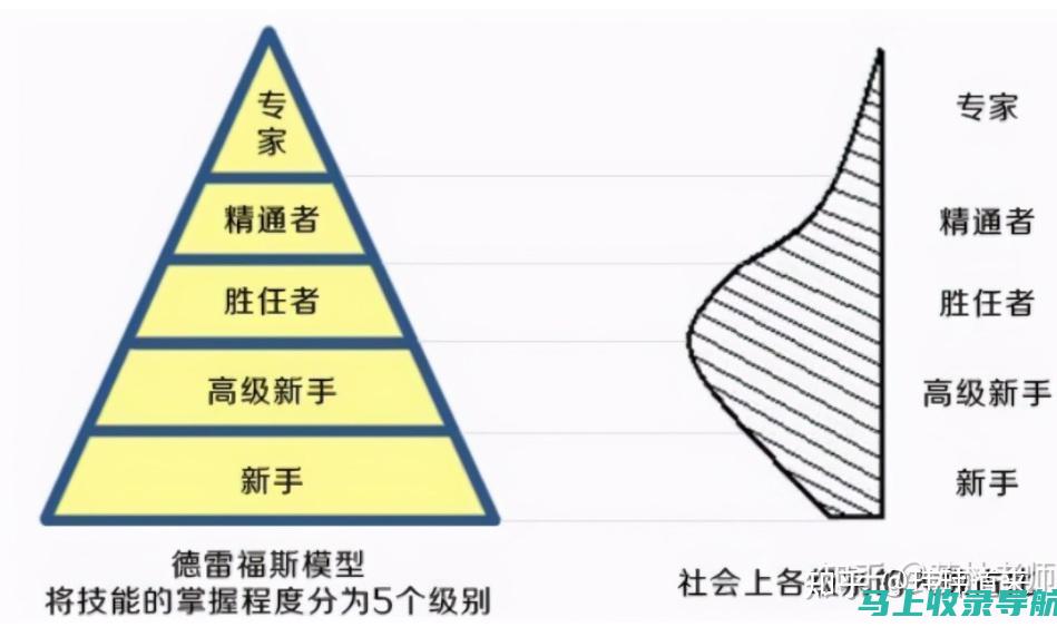 从新手到专家：网站SEO优化的进阶攻略与实战案例分享